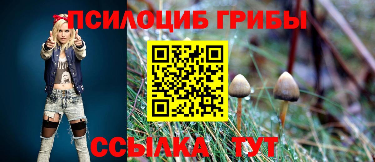 Кстово  Галлюциногенные грибы Psilocybe  Вход с VPN 